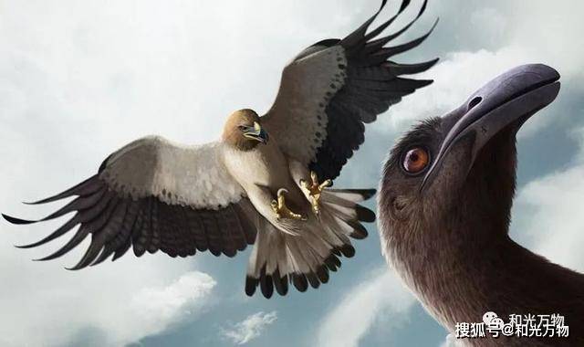 别西仆兽和堕天地狱兽_超比多兽_兽之巨人