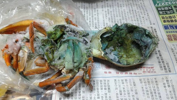 海底大猎杀海_海底大猎杀crab madness是什么模式_海底猎杀攻略