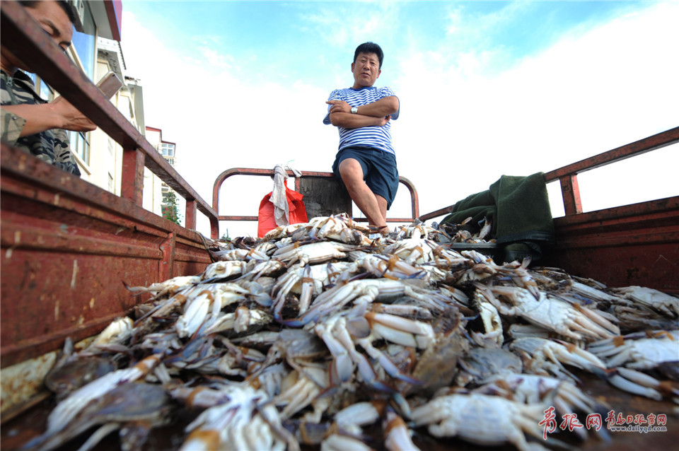 海底猎杀攻略_海底大猎杀crab madness是什么模式_海底大猎杀海