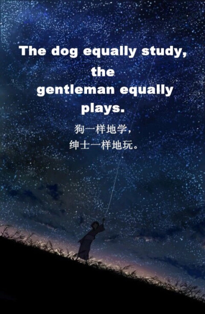哈佛大狗宣传视频_哈佛大狗_哈佛大狗最新动态