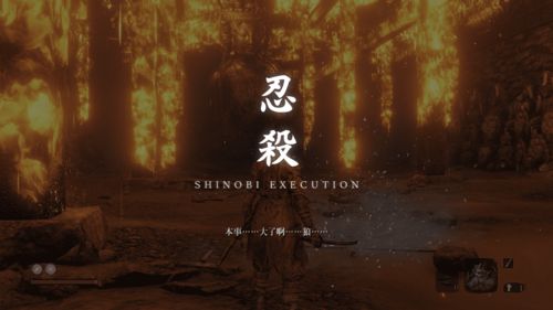 鬼泣5汉化补丁 