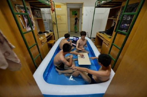 大学寝室游戏,欢乐时光与社交纽带