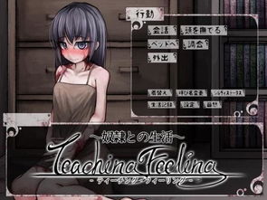 希尔微奴隶生活7.0 