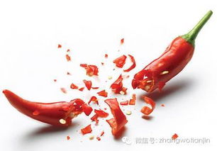 火爆小说 