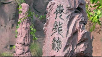 勇闯龙潭 