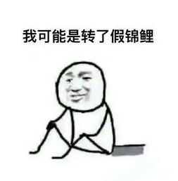 唯一能让笨蛋妹妹变聪明只有我xx的事 