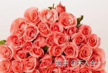 玫瑰之影2 