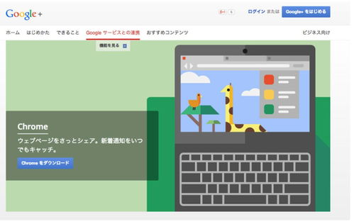 谷歌GooglePlay商店软件官方版最新版2024下载 