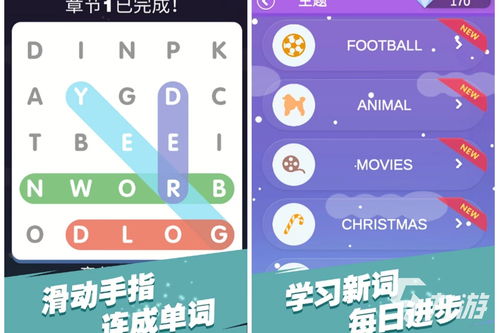 单词记忆游戏,Unlocking Vocabulary: A Thrilling Word Memory Challenge