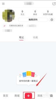 小红书app下载安装免费正版 