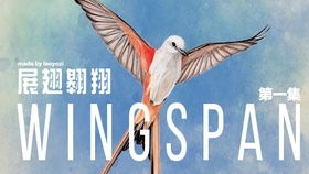 gspace官网版下载 