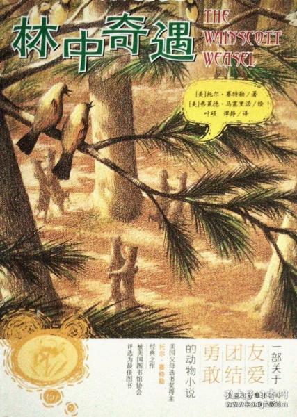 冬季森林中生存汉化版 