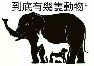 2024我眼力超强手游完整版安装免费下载apk 