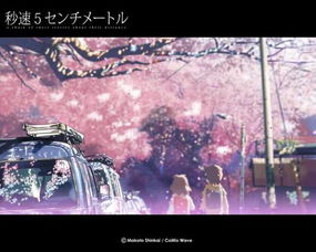 樱花动漫在线观看 