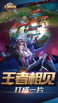 王者荣耀极光辅助 
