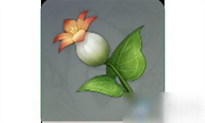 嘟嘟动漫App免费版下载安装 