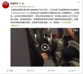 纸飞机的华尔兹 