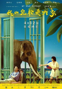 奇优影院手机电影院 
