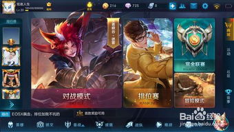 王者荣耀极光辅助 