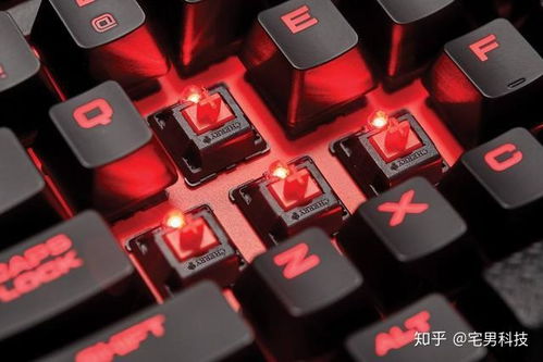 游戏键盘手,揭秘游戏键盘手的神秘世界