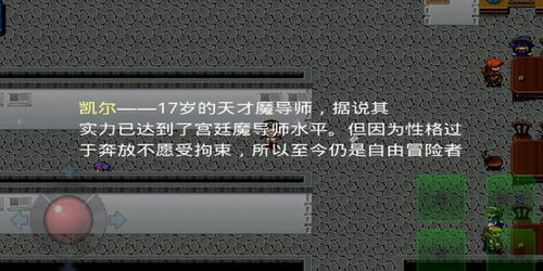 银魔戒指游戏,探寻神秘魔法世界的奇幻冒险之旅