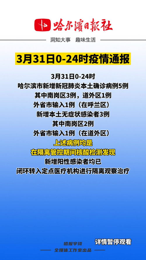 31看书网官网版 