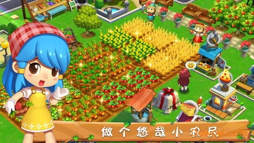 农场游戏二,农业繁荣新篇章