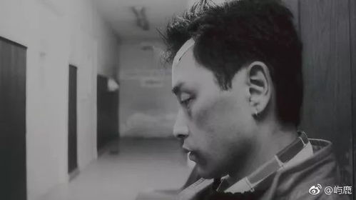 绿色电池管家 