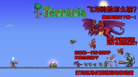 泰拉瑞亚存档编辑器