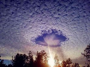 黑暗世界的生存之道