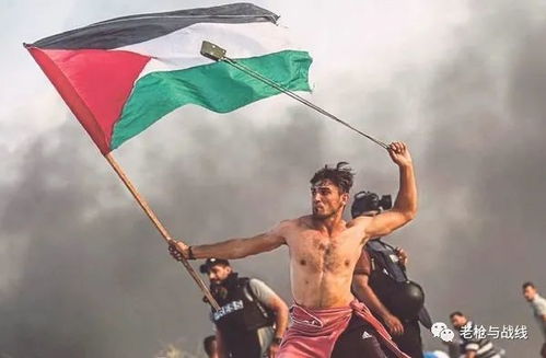 炸弹投石机卡牌战斗