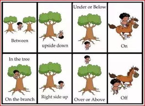 英语方位游戏,Unlocking the Secrets of the Compass: An Engaging English Directional Game Overview