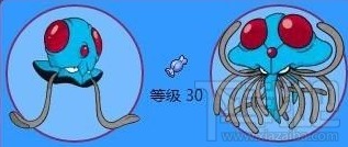 水母动漫官方版平台下载 